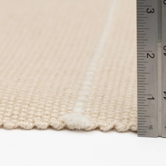 NEW Indoor Outdoor Rug Beige Cream Stripe 24" x 36" by Becky G. & Alejandra Indo - Picture 10 of 16